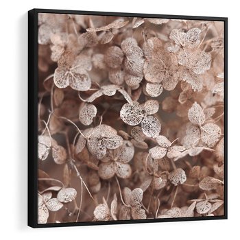 Obraz w ramie 50x50 - Przemijająca Piękność - fotografia, zbliżenie - rama czarna