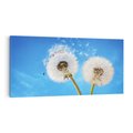Obraz na płótnie 140x70 - wiatr pełen marzeń - dmuchawce, wiatr