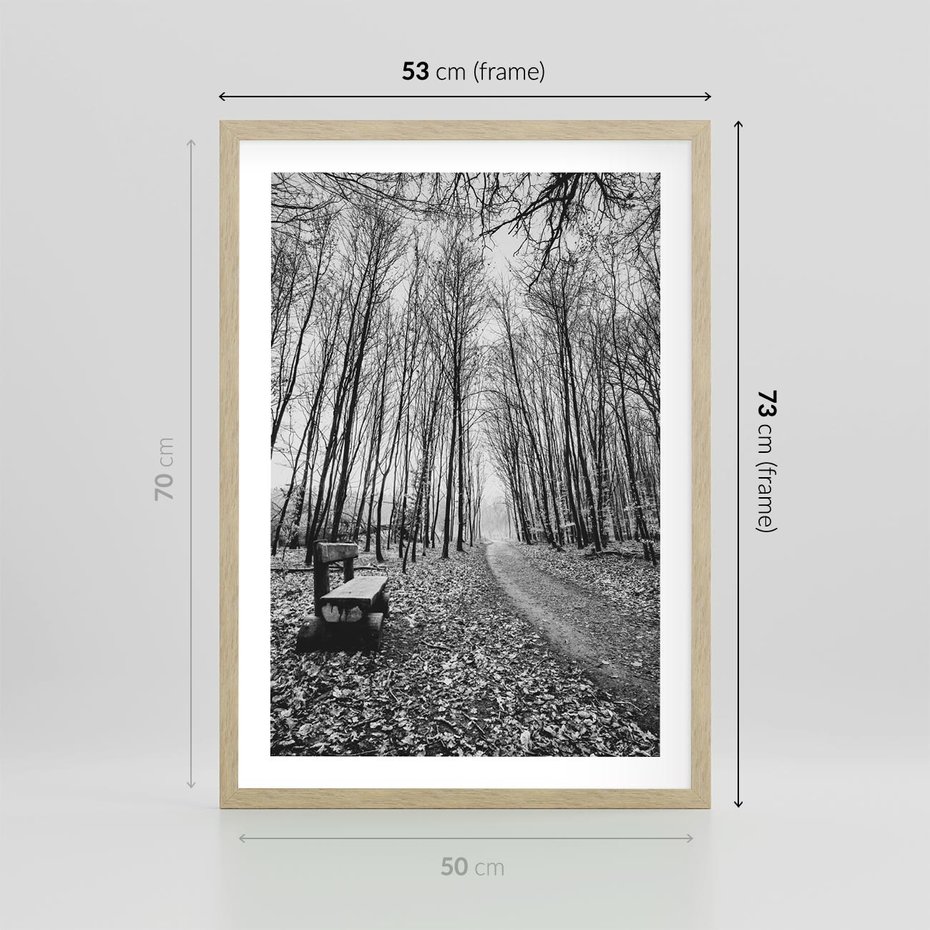 Plakat w ramie 50x70 - Spadające Liście - czarno białe zdjecie, park - rama drewno