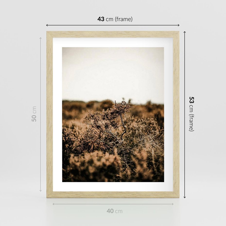 Plakat w ramie 40x50 - Krajobraz W Naturze: Beże i Brązy - suche krzewy, natura - rama drewno