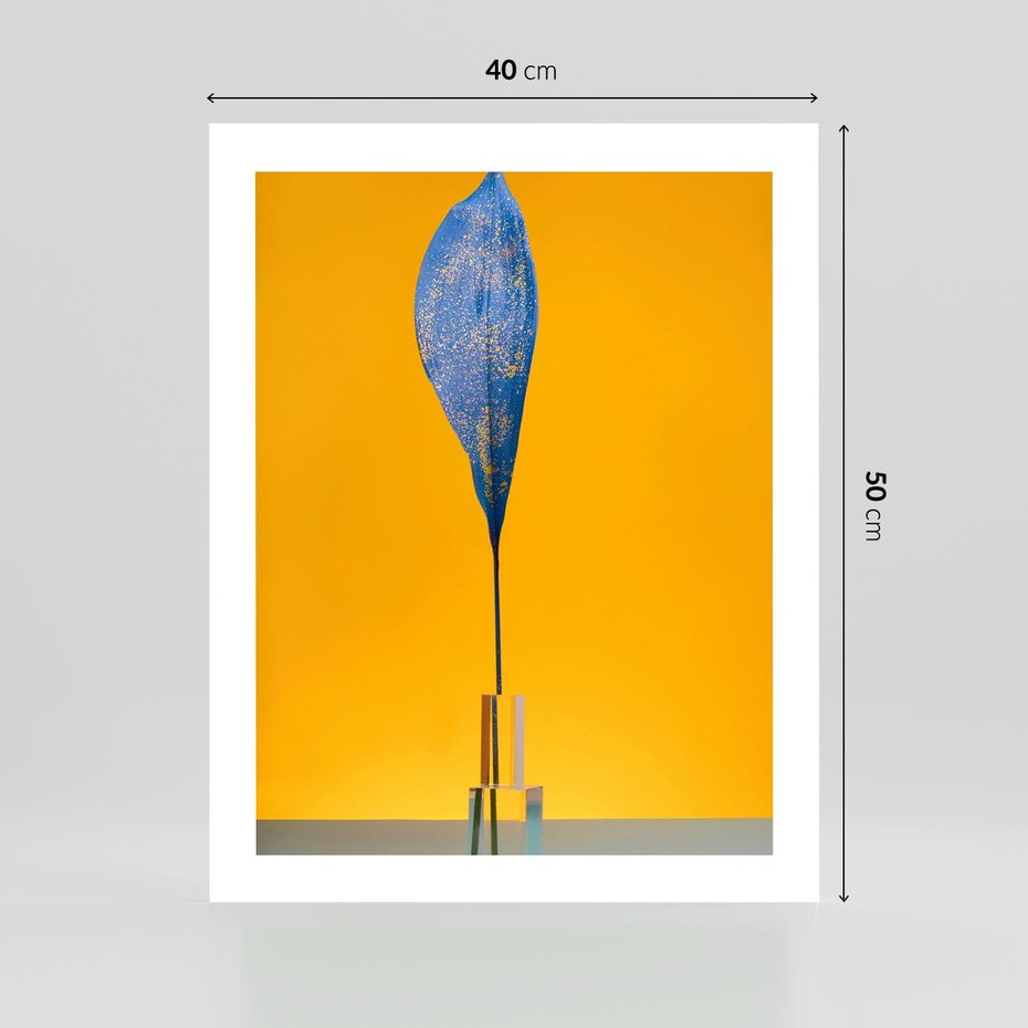 Plakat bez ramy 40x50 - Niebiańskie liście - liść, liście