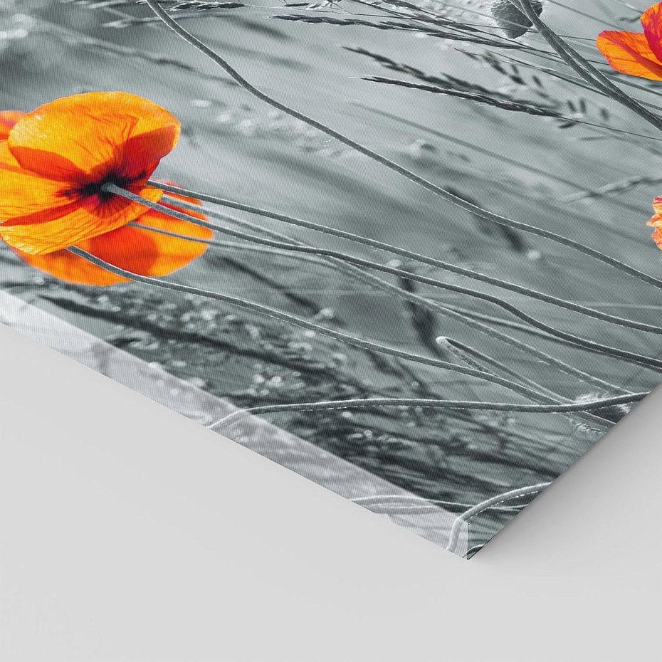 Obraz na płótnie 120x80 - Malownicza łąka - maki, mak