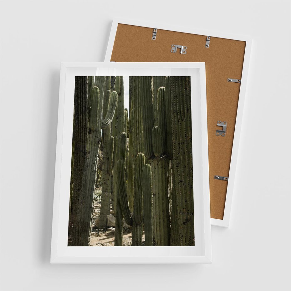Plakat w ramie 50x70 - Wyjątkowy Klimat Boho - kaktusy, pustynia - rama biała