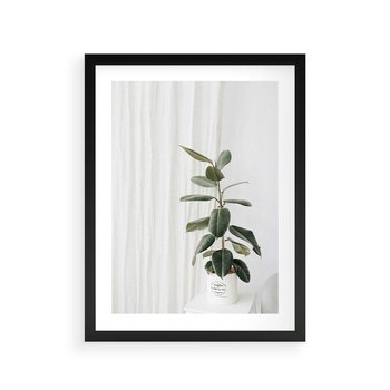 Plakat w ramie 40x50 - Kwiat w Bieli - kwiat w doniczce, białe wnętrze - rama czarna