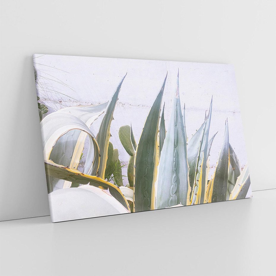 Obraz na płótnie 120x80 - Sukulentowe liście - liście, sukulenty