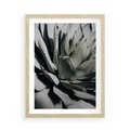 Plakat w ramie 50x70 - Sukulenty wśród kaktusów - sukulenty, kaktusy - rama drewno