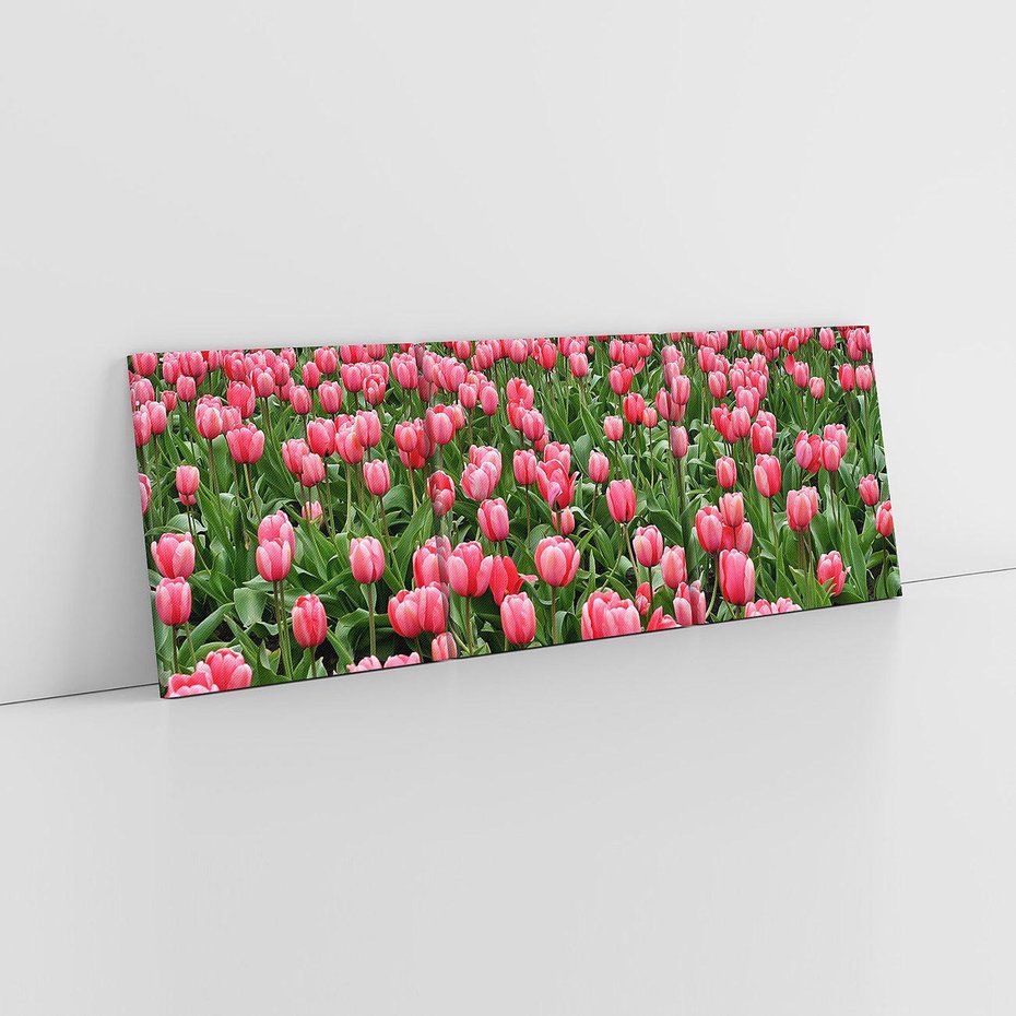 Obraz na płótnie 90x30 - Tulipanowe Elegancja - tulipany, kwiat