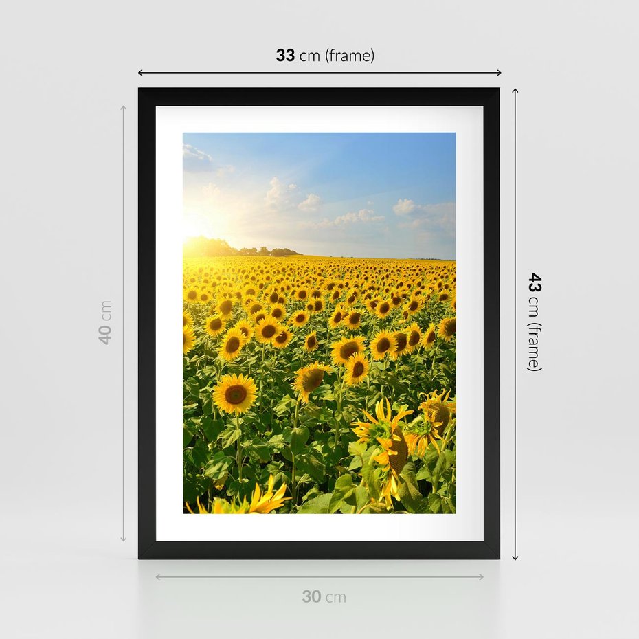 Plakat w ramie 30x40 - Idylla na łące słoneczników - łąka, słoneczniki - rama czarna