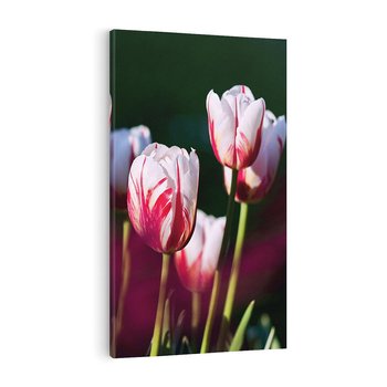 Obraz na płótnie 70x100 - Kwiatowy raj w naturze - kwiat, kwiaty