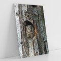 Obraz na płótnie 80x120 - Tajemniczy W świecie Nocy - sowa, dziupla