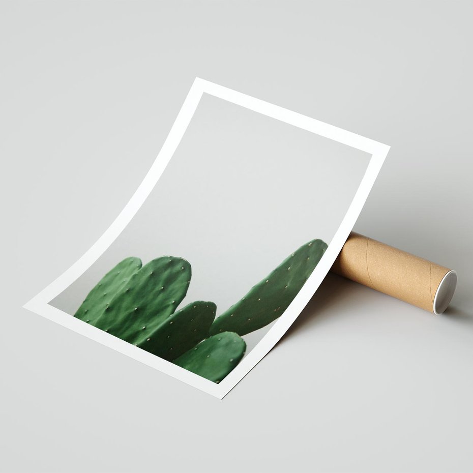 Plakat bez ramy 50x70 - Majestatyczne Wysokości - kaktusy, liście