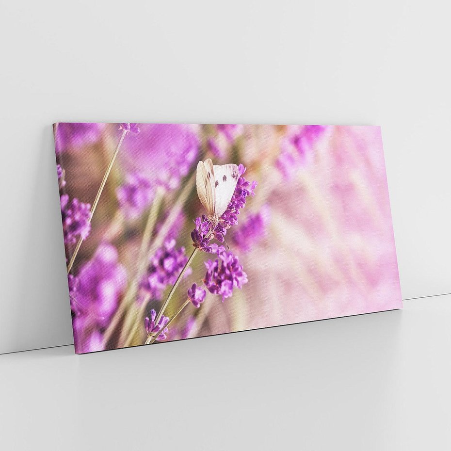 Obraz na płótnie 120x60 - Majestat lawendy: fioletowe pola - lawenda, fiolet