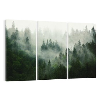 Obraz na płótnie 120x80 - Las Mgły - Las, we