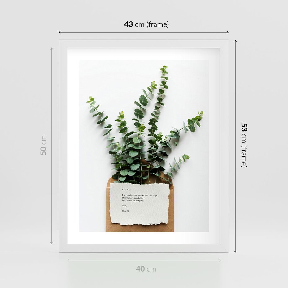 Plakat w ramie 40x50 - Eukaliptusowa harmonia - eukaliptus, liście - rama biała