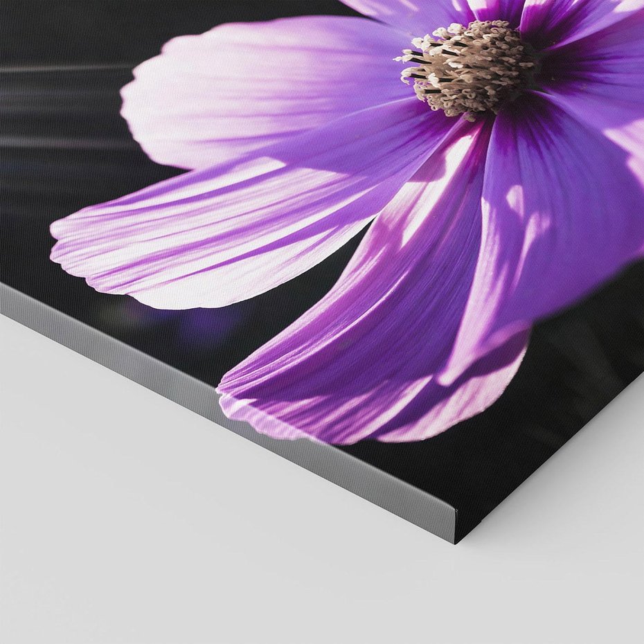 Obraz na płótnie 80x80 - Kwiatowy taniec natury - kwiat, kwiaty