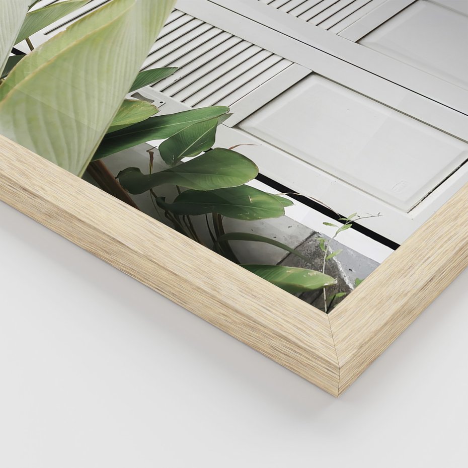 Zestaw obrazy w ramie 40x50 galeria - Okiennica, liście, biały - rama drewno