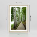 Plakat w ramie 50x70 - Spacer ścieżką przez brzozowy las - las, ścieżka - rama drewno
