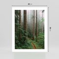 Plakat bez ramy 40x50 - Mgliste Marzenia - artystyczna fotografia, las
