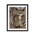 Plakat w ramie 40x50 - Tajemniczy Stróż - sowa, las - rama czarna