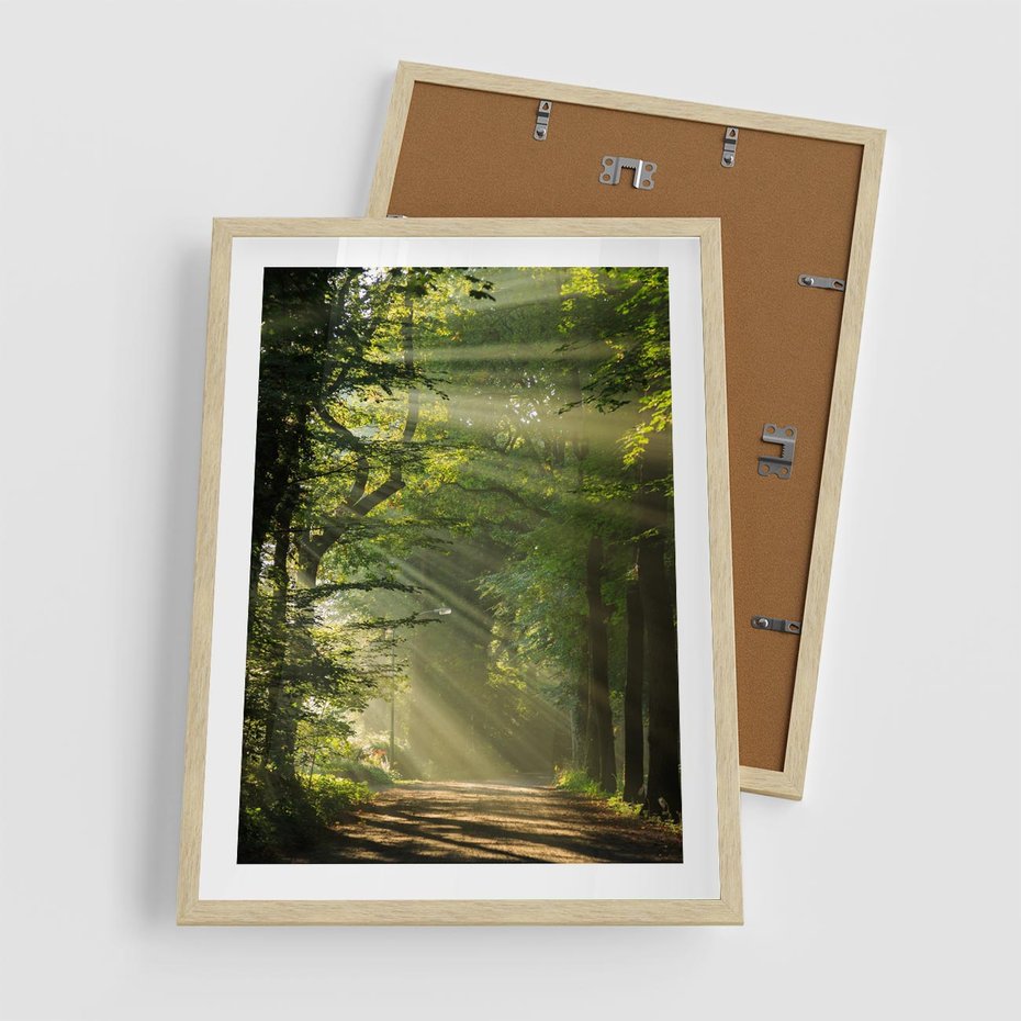 Plakat w ramie 50x70 - harmonia natury - las, drzewa - rama drewno