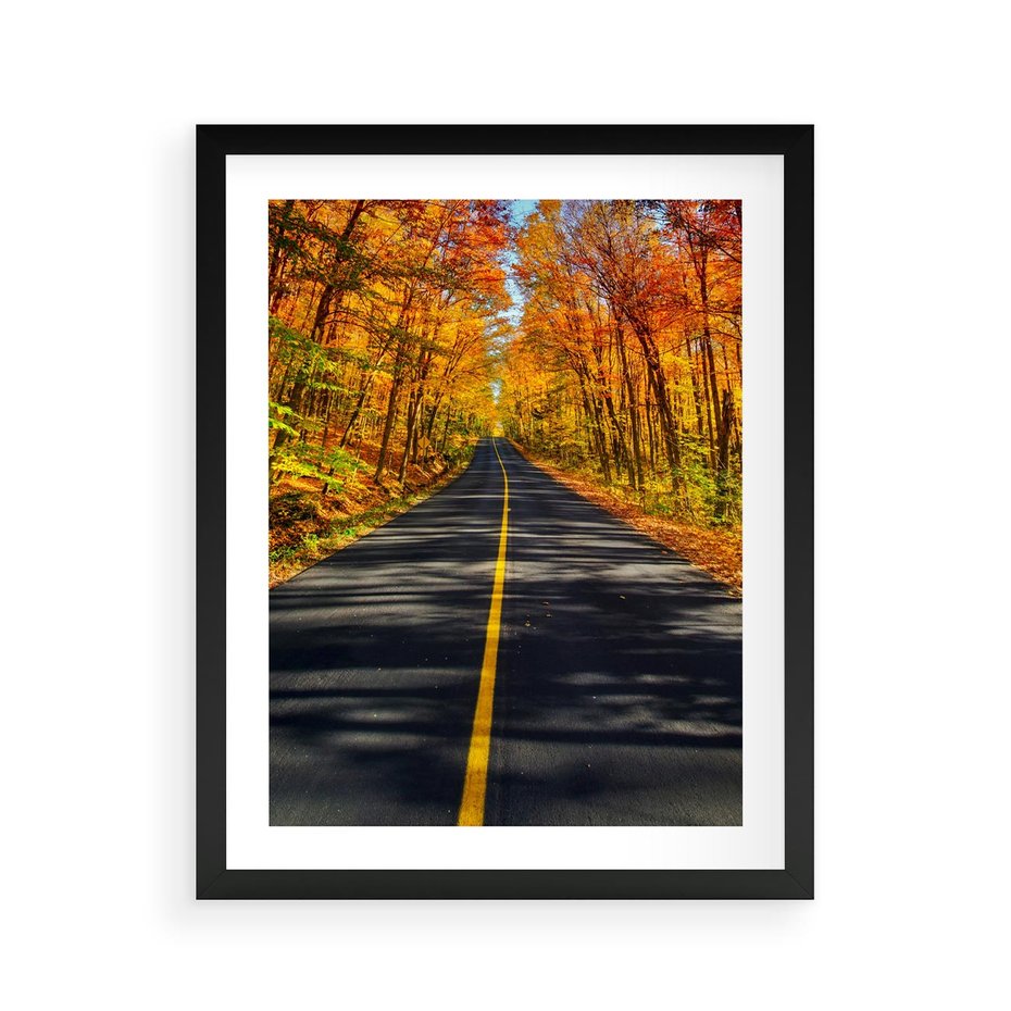 Plakat w ramie 40x50 - Droga przez jesienny las - droga, las - rama czarna