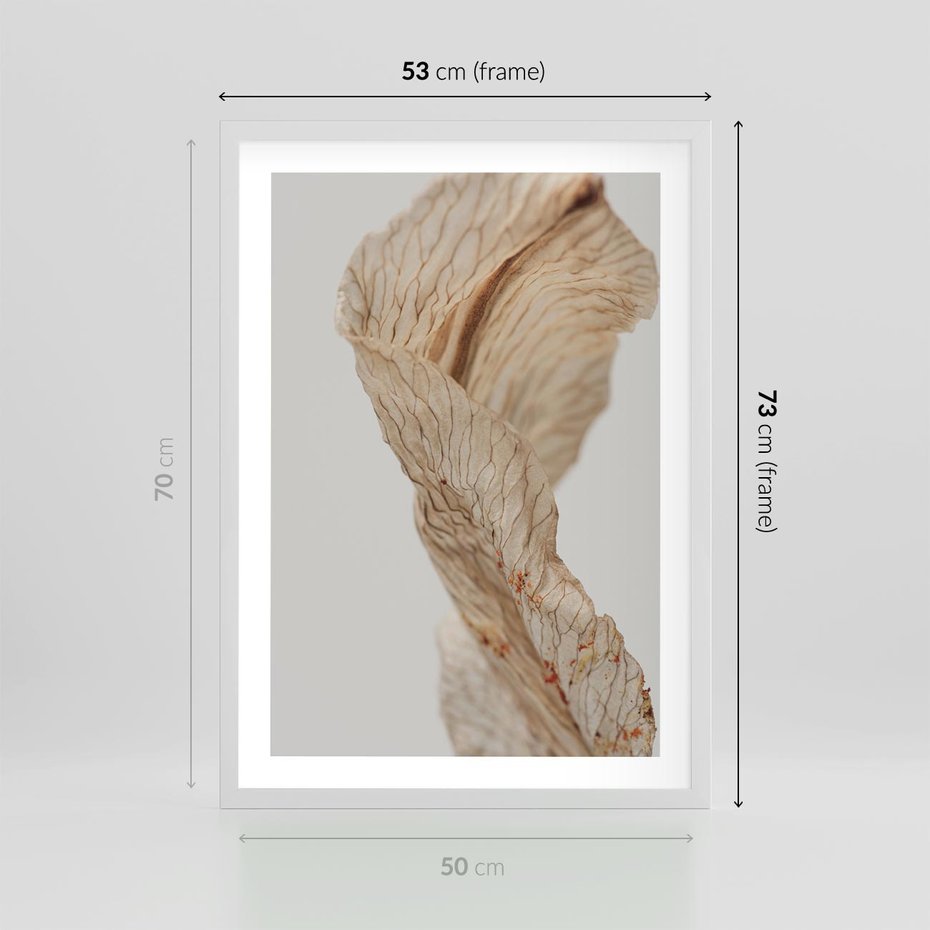 Plakat w ramie 50x70 - Suszone piękno - susz, suche - rama biała