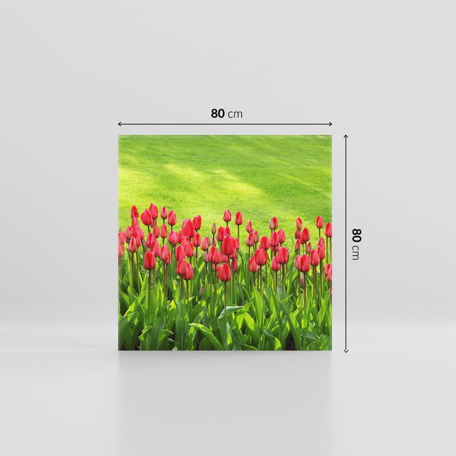 Obraz na płótnie 80x80 - Tulipanowy raj - kwiat, kwiaty