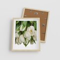 Plakat w ramie 40x50 - Białe tulipany w pełnym rozkwicie - białe, tulipany - rama drewno