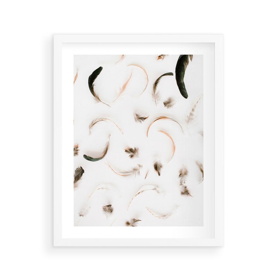 Plakat w ramie 40x50 - Kompozycja z Piór - pióra, kompozycja - rama biała