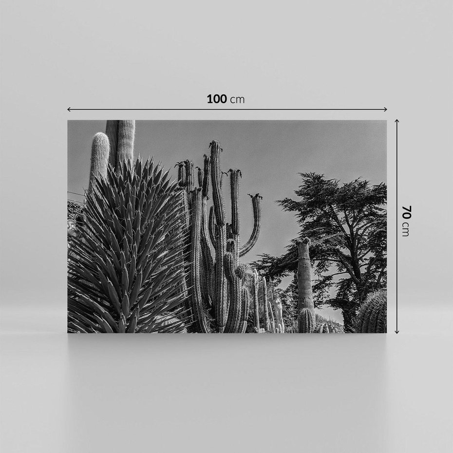 Obraz na płótnie 100x70 - Pustynny Klimat - czarno białe zdjecie, pustynia