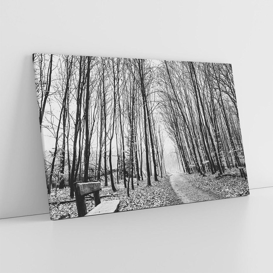 Obraz na płótnie 70x50 - Spadające Liście - czarno białe zdjecie, park