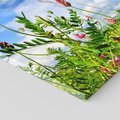 Obraz na płótnie 120x60 - Niebiańska łąka pełna kwiatów - łąka, niebo