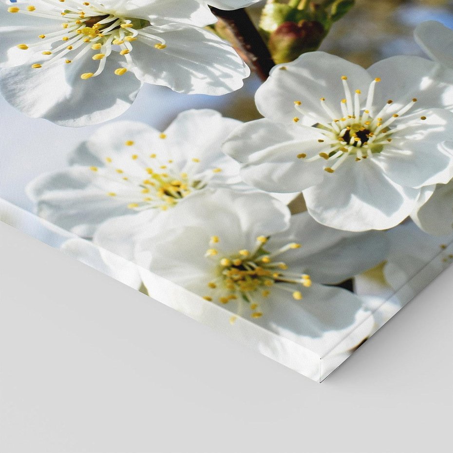 Obraz na płótnie 40x40 - Kwiatowa harmonia natury - kwiat, kwiaty