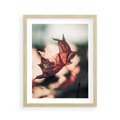 Plakat w ramie 40x50 - Liść w Jesieni - jesienny liść, czerwony - rama drewno