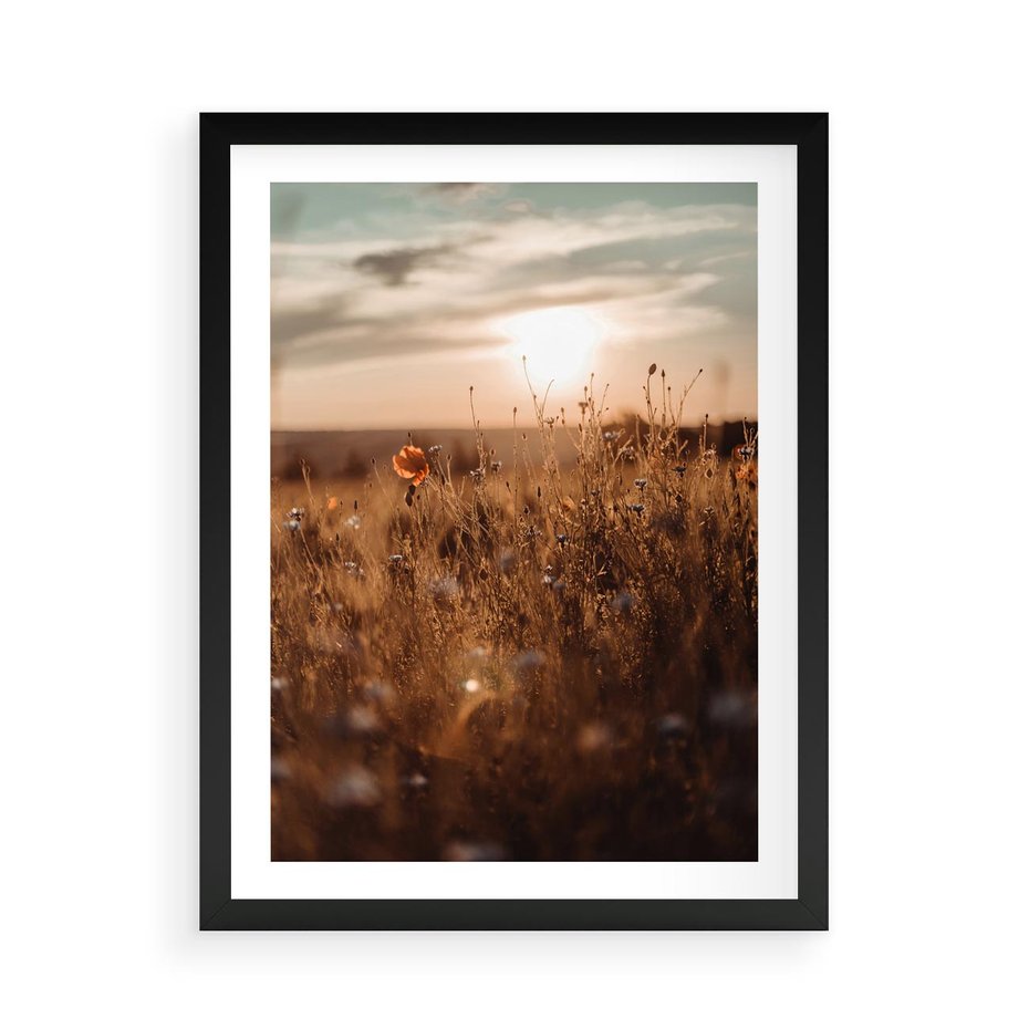 Plakat w ramie 50x70 - Zachwyt zachodem słońca na łące - zachód, słońca - rama czarna