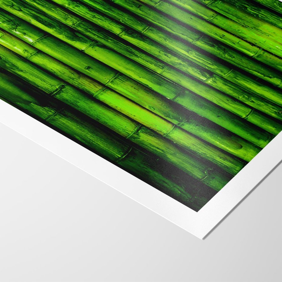 Plakat bez ramy 50x70 - Bambusowy urok zielonej harmonii - bambus, zieleń