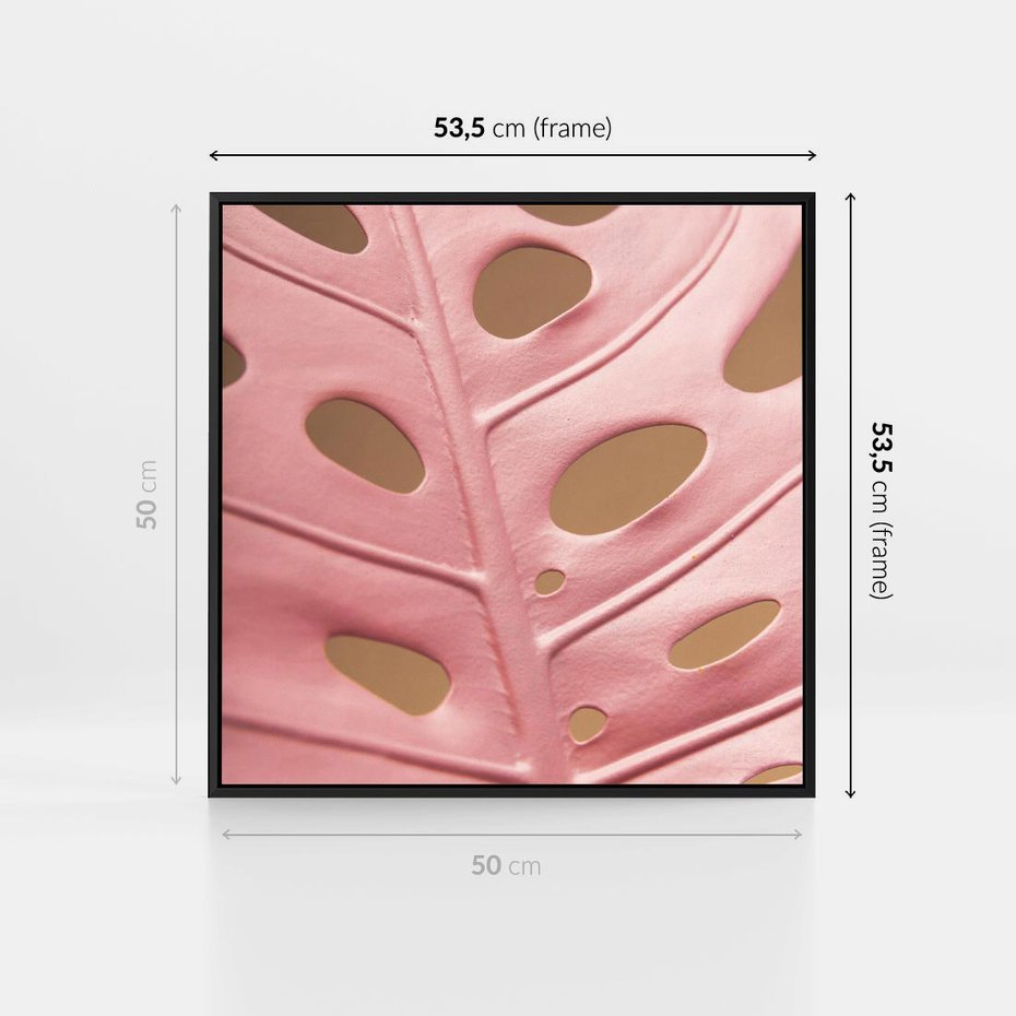 Obraz w ramie 50x50 - Różowa monstera w pełnym rozkwicie - różowa, monstera - rama czarna