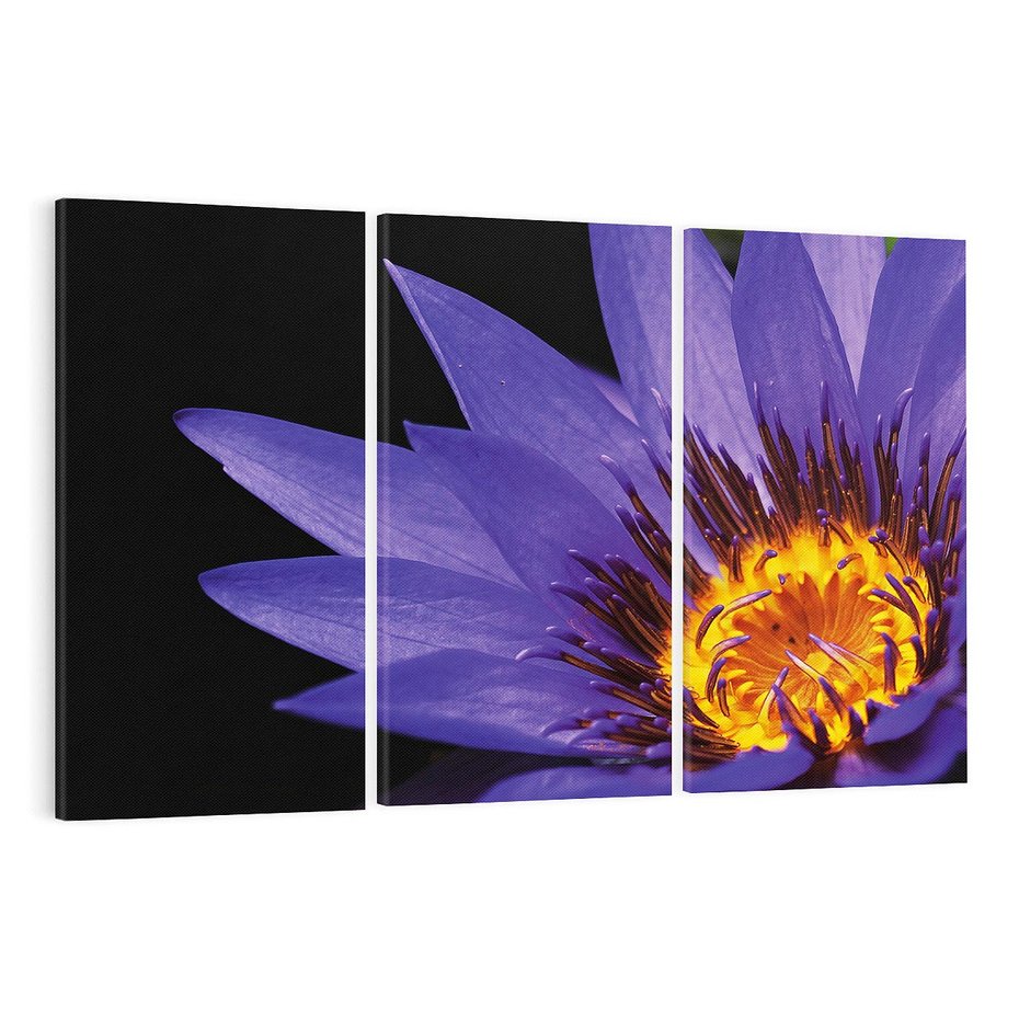 Obraz na płótnie 120x80 - Kwiatowa harmonia: Piękno natury - kwiat, kwiaty