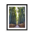 Plakat w ramie 40x50 - Urokliwa dróżka w lesie - las, dróżka - rama czarna