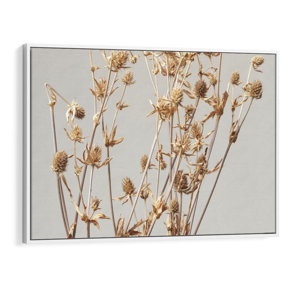 Obraz w ramie 120x80 - Delikatne gipsówki - gipsówka, suche - rama biała