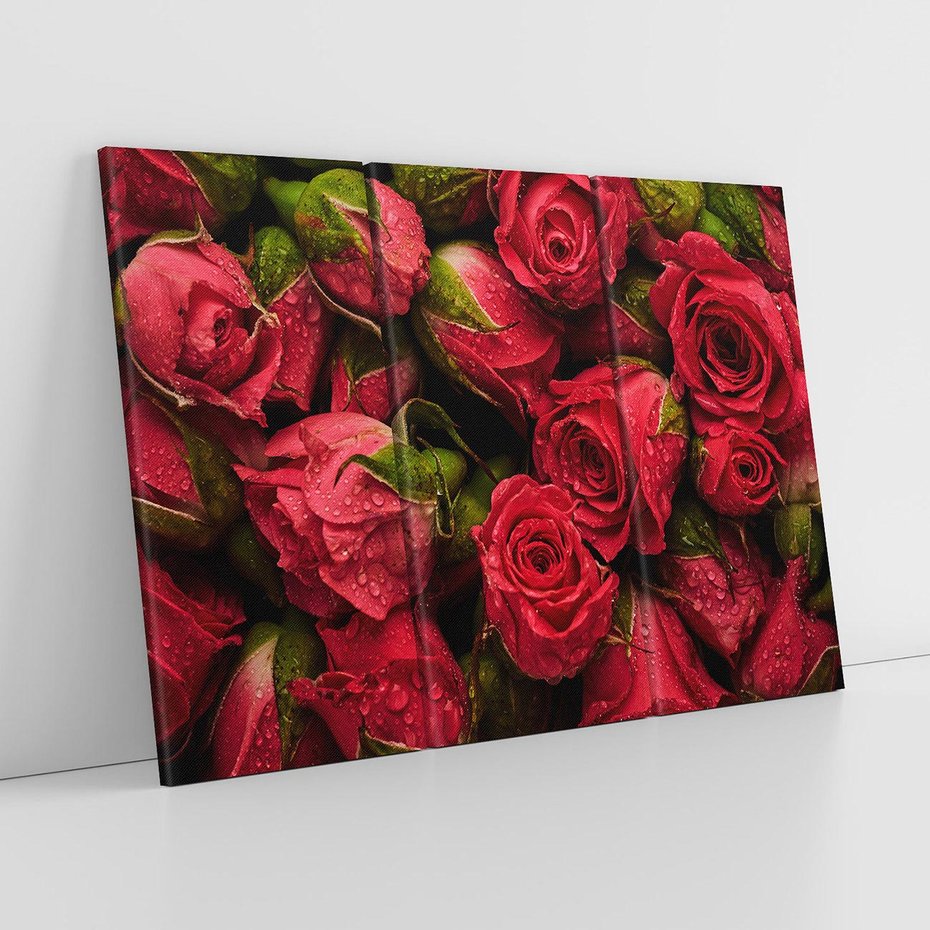 Obraz na płótnie 120x80 - Piękno róż: delikatność natury - róże, kwiaty
