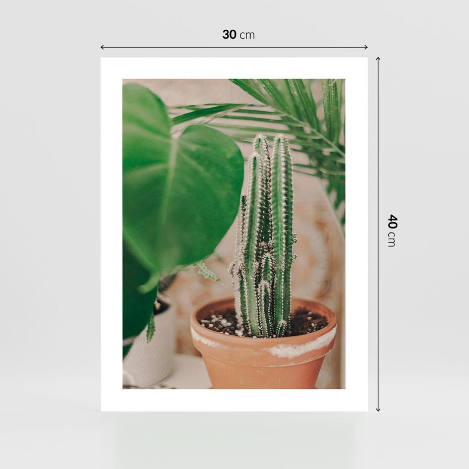 Plakat bez ramy 30x40 - Boho Urok - kaktus w doniczce, gliniana doniczka