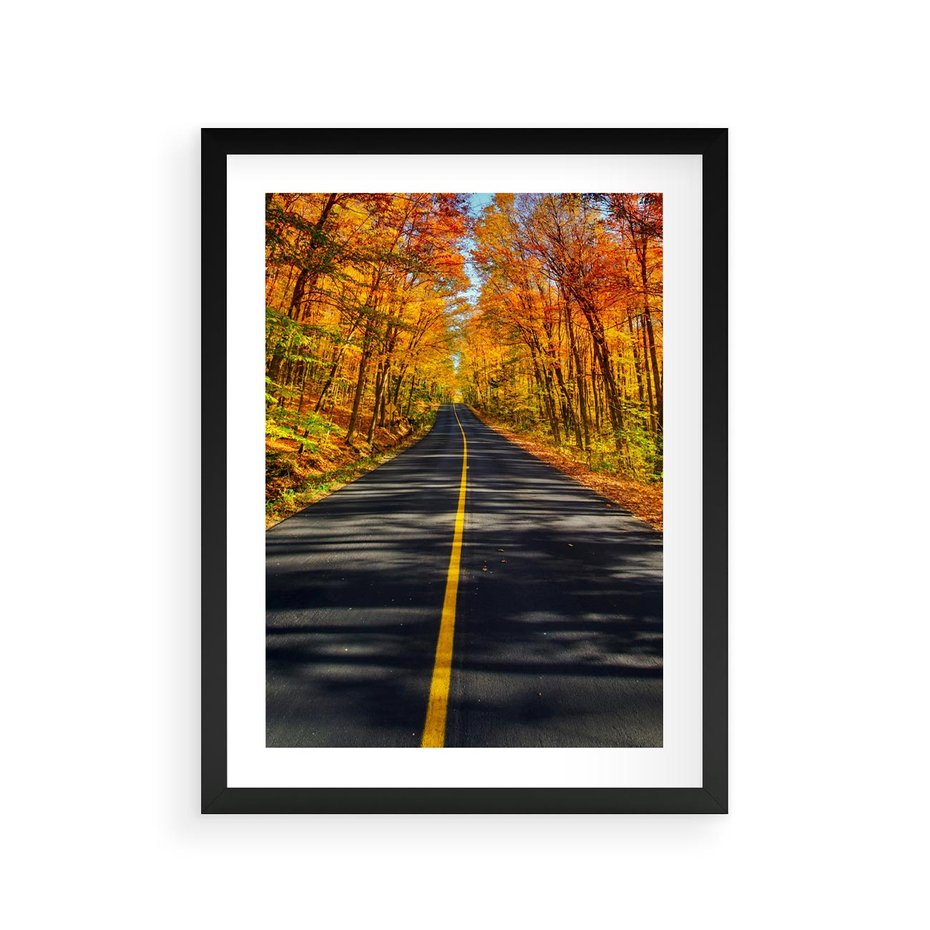 Plakat w ramie 30x40 - Droga przez jesienny las - droga, las - rama czarna
