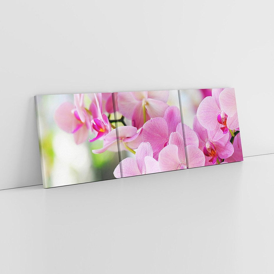 Obraz na płótnie 150x50 - Elegancja orchidei - orchidea, kwiaty