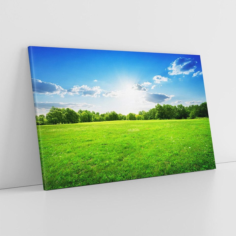 Obraz na płótnie 120x80 - Idylla na łące drzew - łąka, drzewa