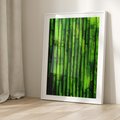 Plakat bez ramy 50x70 - Bambusowy urok zielonej harmonii - bambus, zieleń