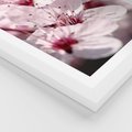 Plakat w ramie 50x70 - Kwitnąca Wiśnia - kwiaty, kwitnąca - rama biała