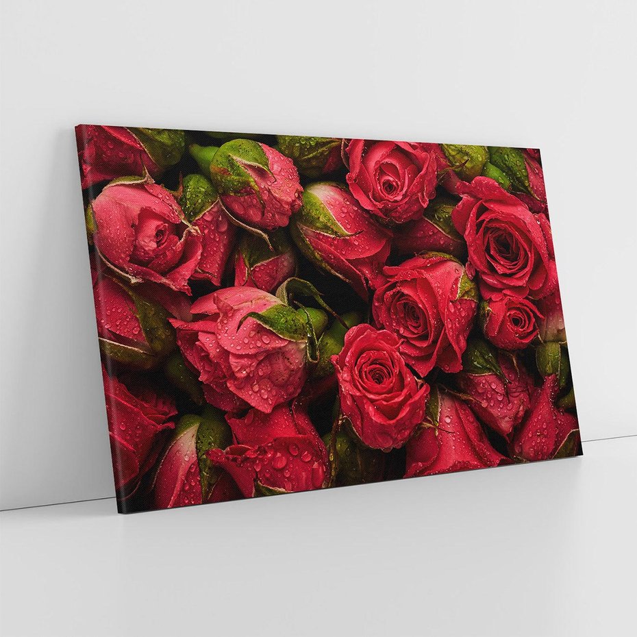 Obraz na płótnie 120x80 - Piękno róż: delikatność natury - róże, kwiaty