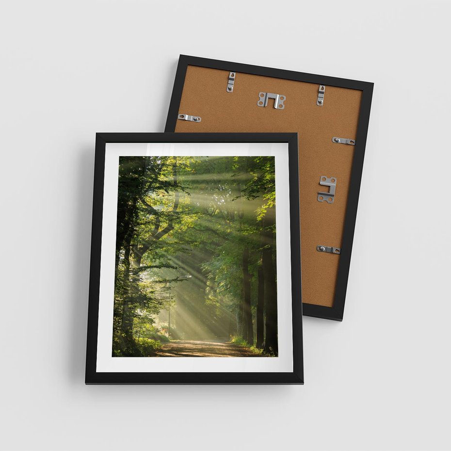 Plakat w ramie 40x50 - harmonia natury - las, drzewa - rama czarna