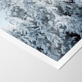 Plakat bez ramy 50x70 - Magia Śnieżnych Drzew - zima, iglaste drzewa